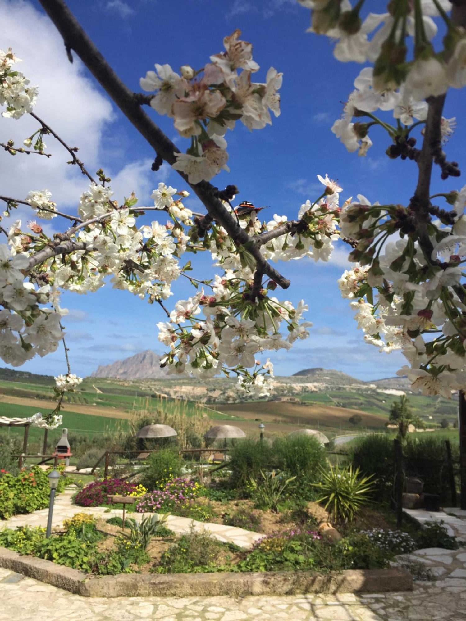 Crocevie B&B Baglio Degli Ulivi מראה חיצוני תמונה